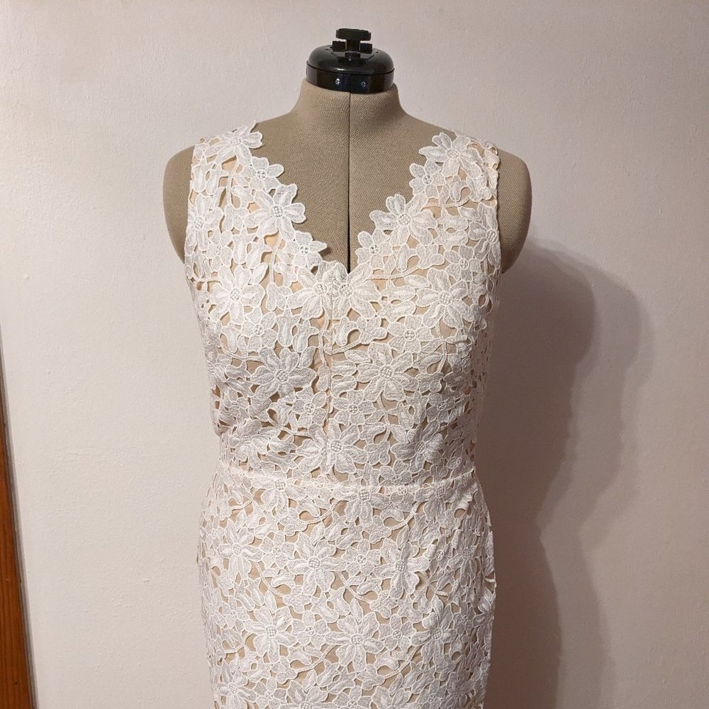 NWT Loft lace sheath dress